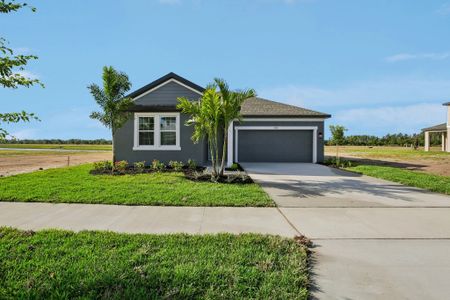 New construction Single-Family house 5935 Fresh Flora Dr, Wimauma, FL 33598 plan Plant - image