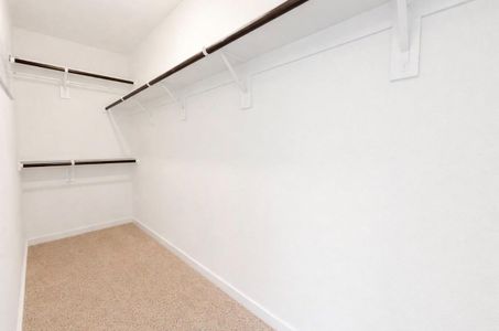 New construction Single-Family house 8315 Amber Summit Ln, Angleton, TX 77515 - image 9