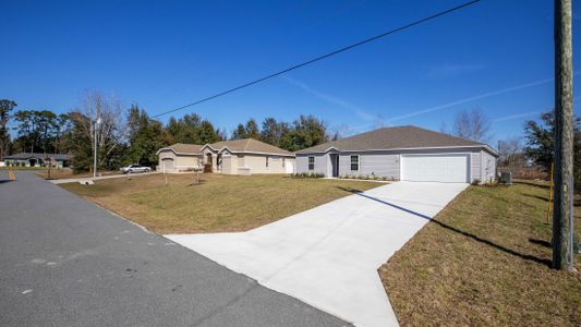 New construction Single-Family house 224 Locust Pass Crse, Ocala, FL 34472 The 2052- photo 50 50