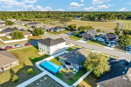 New construction Single-Family house 11801 Sunder Berry St, Hudson, FL 34667 null- photo 59 59