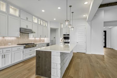New construction Single-Family house 520 Wonderstruck, Liberty Hill, TX 78642 plan Santa Barbara II - image 9