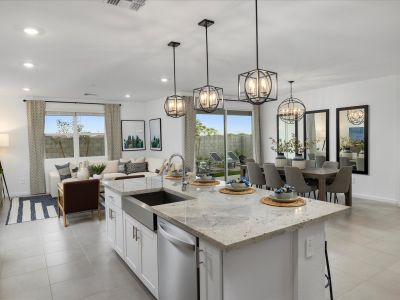 New construction Single-Family house 2577 E Grenach Rd, San Tan Valley, AZ 85143 plan Lark - image