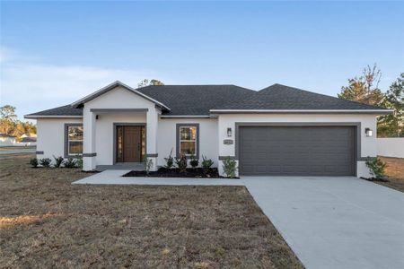 New construction Single-Family house 4612 Sw 149Th St, Ocala, FL 34473 - image