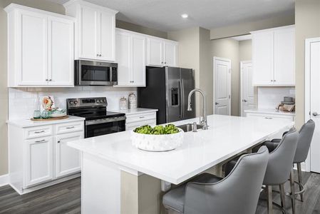 New construction Single-Family house 1293 Ribbon Pl, Palm Coast, FL 32164 plan Hillcrest - image