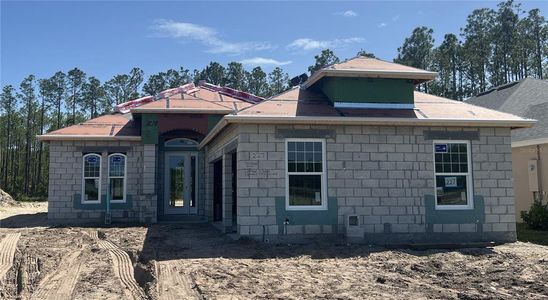 New construction Single-Family house 227 Hawthorn Ave, Palm Coast, FL 32164 plan Westcotte - image