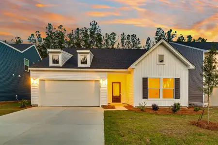 New construction Single-Family house 4203 Hollow Wind Way, Summerville, SC 29485 - photo 0