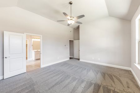 New construction Single-Family house 310 Hope Orchards Dr, Lavon, TX 75166 plan Trinity - image 16