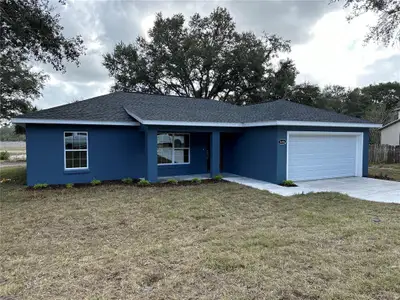 New construction Single-Family house 217 Fisher Rd, Ocklawaha, FL 32179 - image