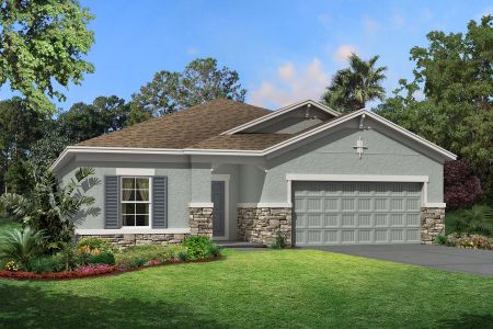 New construction Single-Family house 31979 Sapna Chime Dr, Wesley Chapel, FL 33543 null- photo 0 0