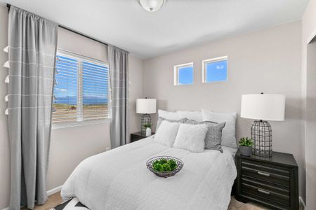 New construction Single-Family house 9337 Twin Sisters Dr, Colorado Springs, CO 80927 plan Belgian - image 8