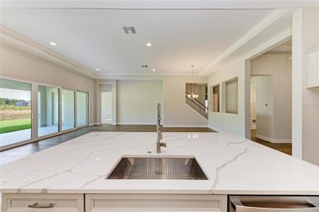 New construction Single-Family house 14924 Rider Pass Dr, Lithia, FL 33547 plan Biscayne II - image 13