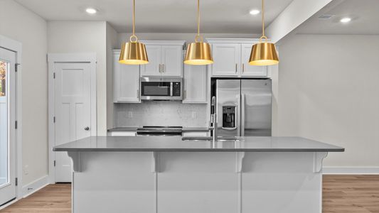 New construction Townhouse house 49 Moon Haven Wy, Arden, NC 28704 plan Litchfield - image 5