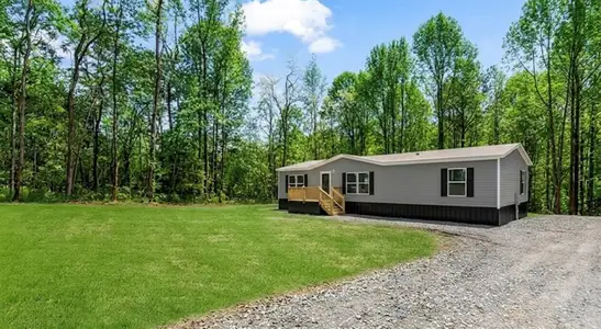 New construction Single-Family house 152 Wendy Hill Rd, Talking Rock, GA 30175 - image