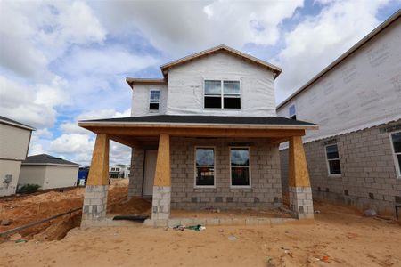 New construction Single-Family house 17335 Beachgrass Aly, Winter Garden, FL 34787 plan Sebring - Avenue Collection - image