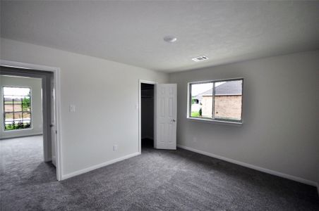 New construction Single-Family house 2207 Dorado St, League City, TX 77539 - image 16
