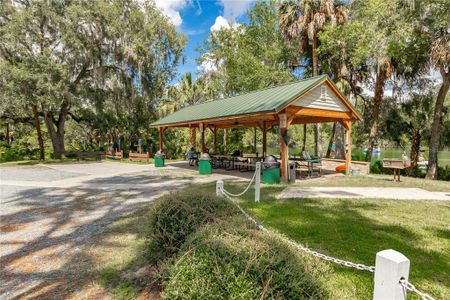 New construction Single-Family house 19610 Sw 93Rd Pl, Dunnellon, FL 34432 null- photo 44 44