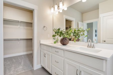 New construction Townhouse house 6226 Vernazza Wy, Unit 2, Windsor, CO 80550 plan Belmar - image 17