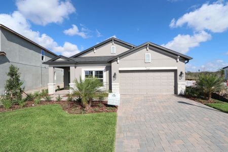 New construction Single-Family house 31229 Denham Ridge Ln, Wesley Chapel, FL 33545 Newport II- photo 121 121