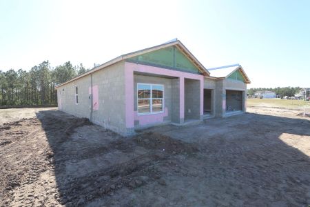 New construction Single-Family house 1878 Drummond Pt, Zephyrhills, FL 33541 Corina II Bonus- photo 48 48