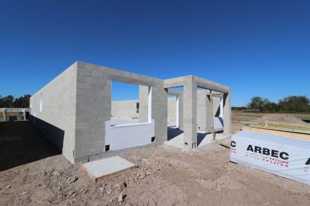 New construction Single-Family house 3150 Adams Cross Dr, Zephyrhills, FL 33540 Miranda- photo 8 8