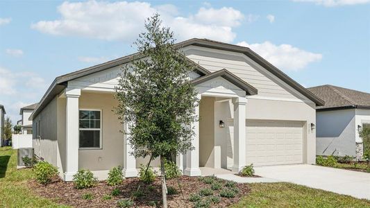 New construction Single-Family house 5721 Haystack Dr, St. Cloud, FL 34771 plan Badland - image