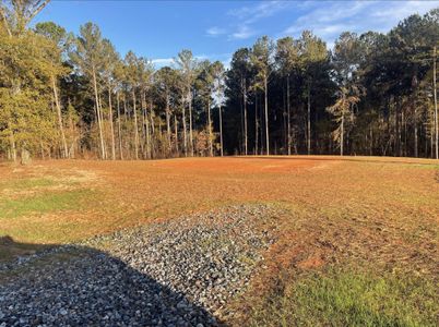 New construction Single-Family house 264 Robert Williams Rd, Pine Mountain, GA 31822 plan Avery - image
