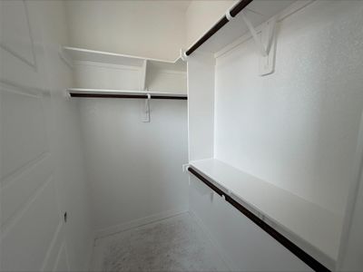 New construction Single-Family house 3714 Violet Ln, Huntsville, TX 77340 - image 17