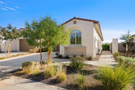 New construction Duplex house 20562 W Rattler Rd, Buckeye, AZ 85396 Brisa- photo 2 2