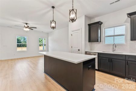 New construction Single-Family house 755 Mockingbird Rd, Albemarle, NC 28001 - image 9