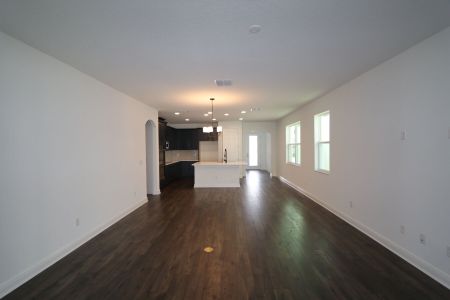 New construction Single-Family house 33227 Amling Pecan Br, Wesley Chapel, FL 33545 Newport II- photo 75 75