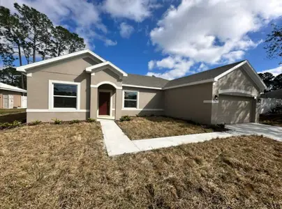 New construction Single-Family house 59 Woodhollow Ln, Palm Coast, FL 32164 plan Clearwater - image