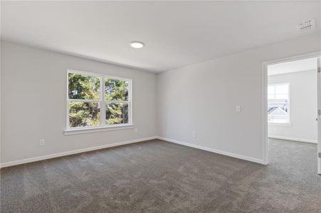 New construction Single-Family house 693 Shoals Trl, Dallas, GA 30132 plan Braydon - image 16