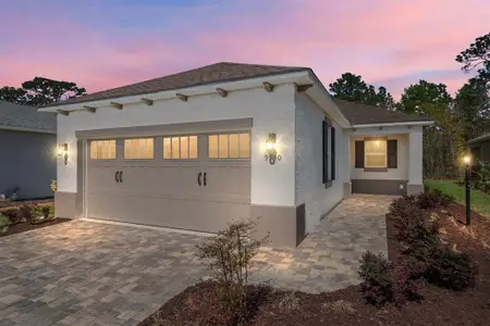 New construction Single-Family house 9730 Sw 108Th Terrace Rd, Ocala, FL 34481 - image