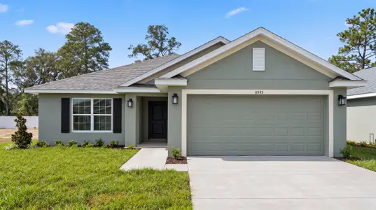 New construction Single-Family house 11593 Grace Rd, Weeki Wachee, FL 34614 plan 1970 - image