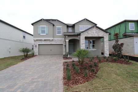 New construction Single-Family house 38326 Tobiano Loop, Dade City, FL 33525 Casanova- photo 108 108