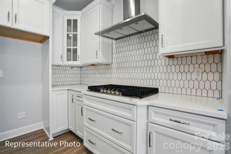 New construction Single-Family house 3001 Old Glory Dr, Gastonia, NC 28056 - image 7