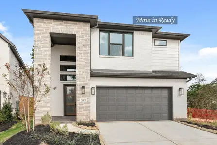 New construction Single-Family house 26513 Skylight Brook Ct, Montgomery, TX 77316 plan The Terrace - image