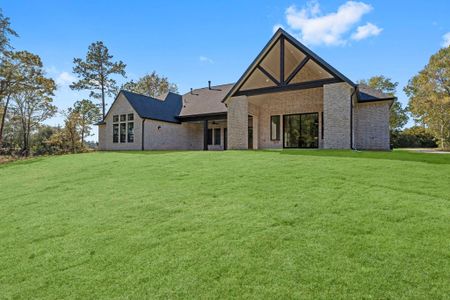 New construction Single-Family house 161 Homestead Hill Rd, New Waverly, TX 77358 - image 19
