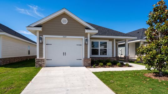 New construction Single-Family house 7057 Traditions Dr, Panama City, FL 32404 plan 1379 - image