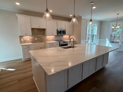 New construction Single-Family house 227 Hickory Ln, Hampstead, NC 28443 plan Nicklaus - image 6