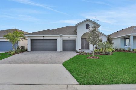 New construction Single-Family house 17429 Valleywood Pkwy, Land O' Lakes, FL 34638 plan Boca - image