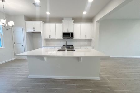 New construction Townhouse house 799 Pilea St, Apopka, FL 32703 Rutland - Townhome Series- photo 22 22