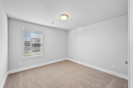 New construction Single-Family house 10907 Rochelle, Grand Prairie, TX 75052 Mathis- photo 30 30