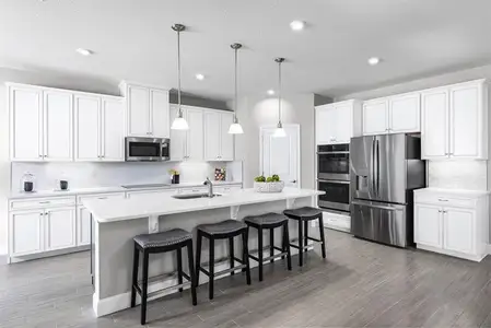 New construction Single-Family house 9812 Pine Mill Rd, Clermont, FL 34711 plan Sandalwood - image
