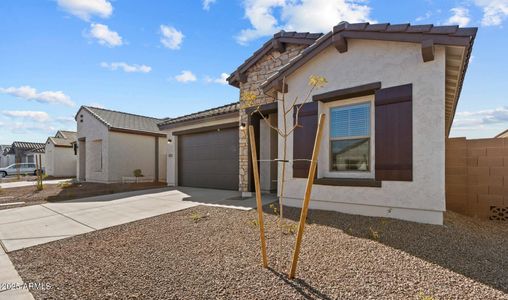 New construction Single-Family house 7914 N 80th Ave, Glendale, AZ 85303 Orinoco- photo 2 2