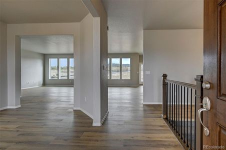 New construction Single-Family house 366 Hardstone Dr, Monument, CO 80132 - image 9