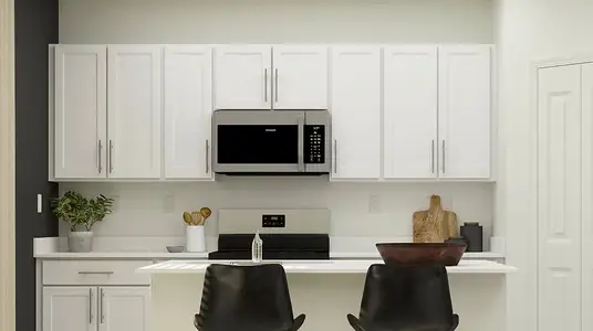 New construction Townhouse house 9032 Bay Leaf Dr, Parrish, FL 34219 plan Marisol II - image