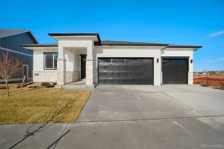 New construction Single-Family house 23845 E River Front Drive, Aurora, CO 80019 - photo 1 1