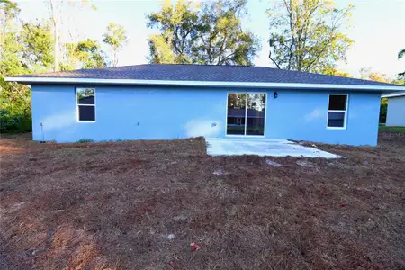 New construction Single-Family house 4280 Se 137Th St, Summerfield, FL 34491 - image