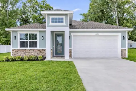 New construction Single-Family house 16392 Se 83Rd Ct, Summerfield, FL 34491 - image